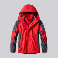 blusher